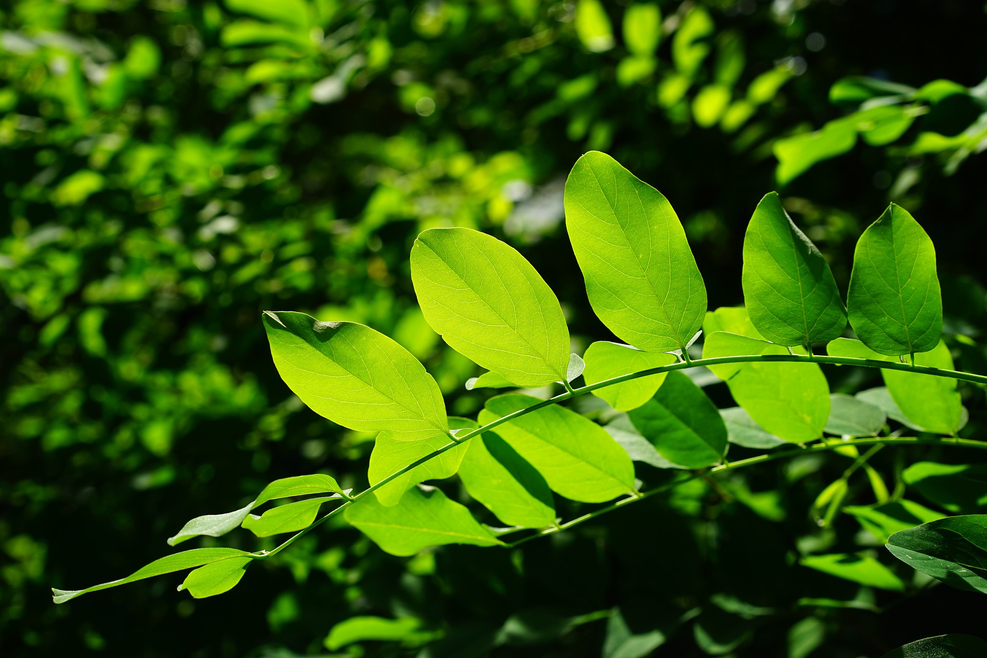 Licenciamento Ambiental